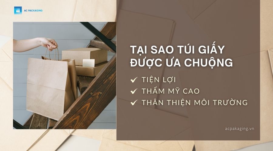 Tại sao túi giấy được ưa chuộng
